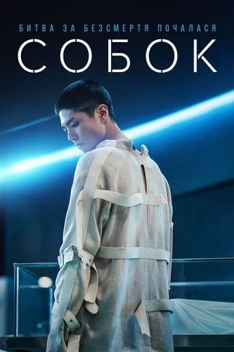 постер Собок