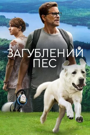 постер Загублений пес