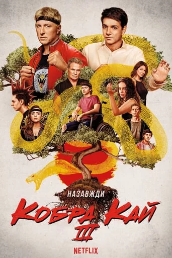 постер Кобра Кай