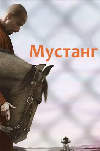 постер Мустанг