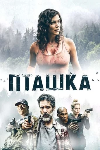 постер Пташка
