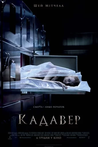 постер Кадавер