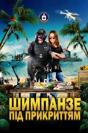 постер Шимпанзе під прикриттям
