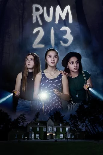 постер Кімната 213