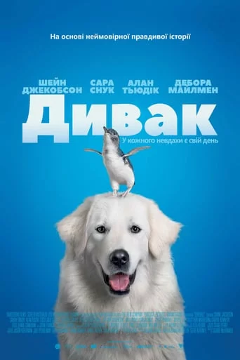 постер Дивак