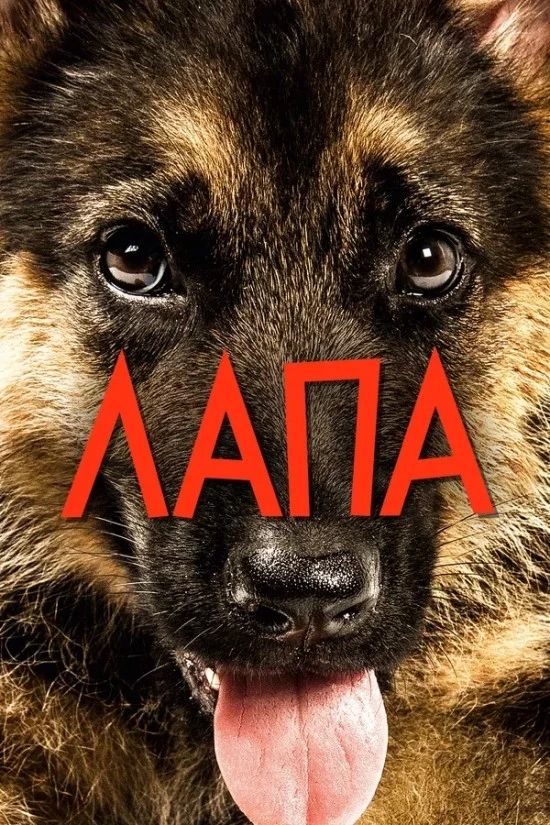 постер Лапа