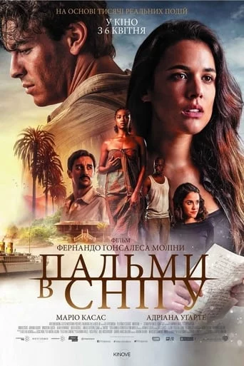 постер Пальми в снігу
