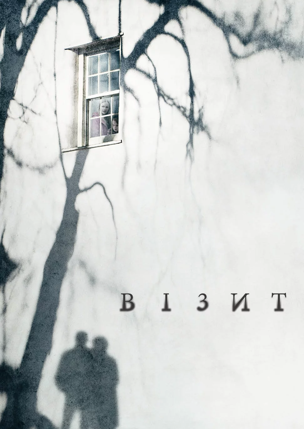 постер Візит