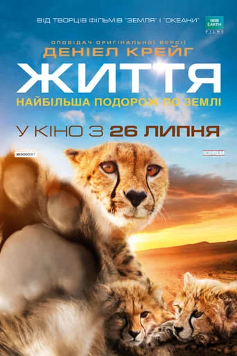 постер Одне життя