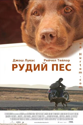 постер Рудий пес