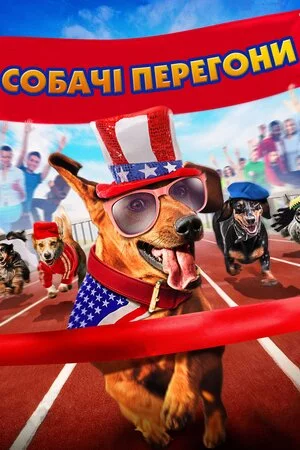 постер Собачі перегони