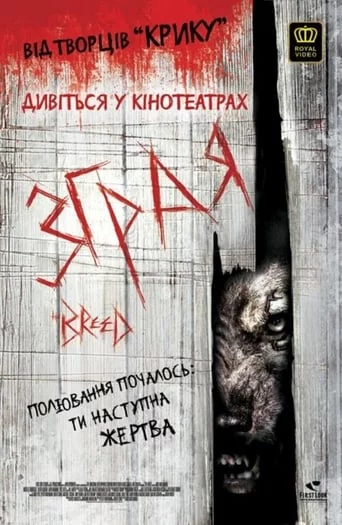 постер Зграя / Порода