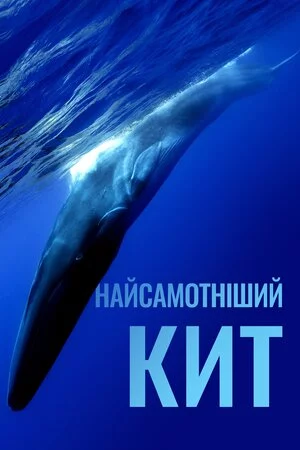 постер Найсамотніший кит