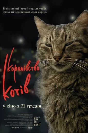 постер Королівство котів