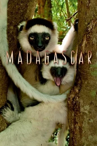 постер Мадаґаскар / Мадагаскар