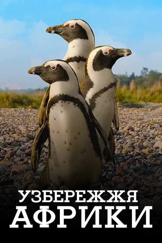 постер Узбережжя Африки