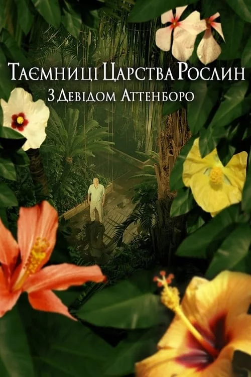 постер Таємниці царства рослин