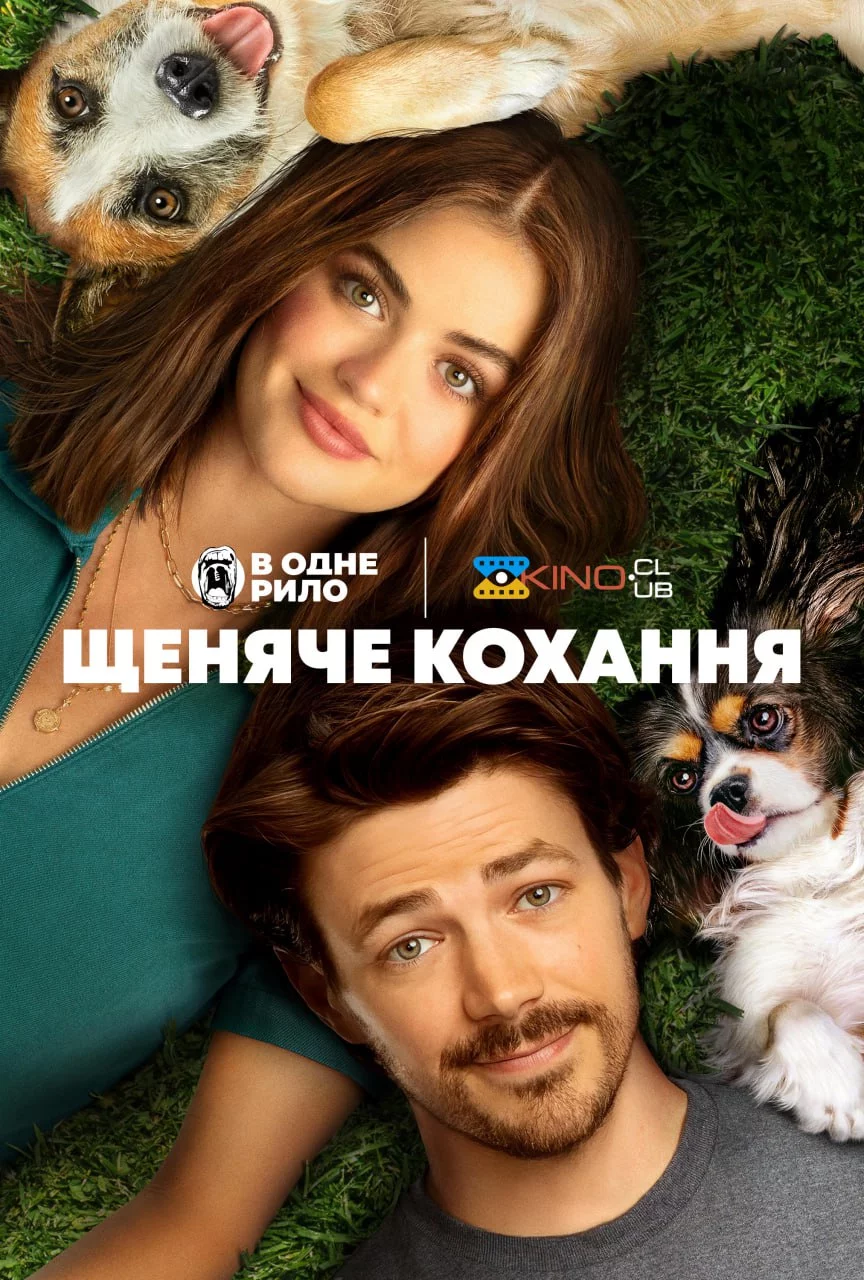 постер Щеняче кохання