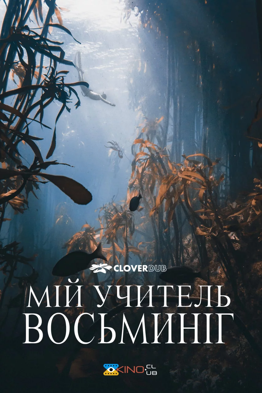 постер Мій учитель — восьминіг