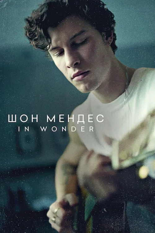 постер Шон Мендес: In Wonder