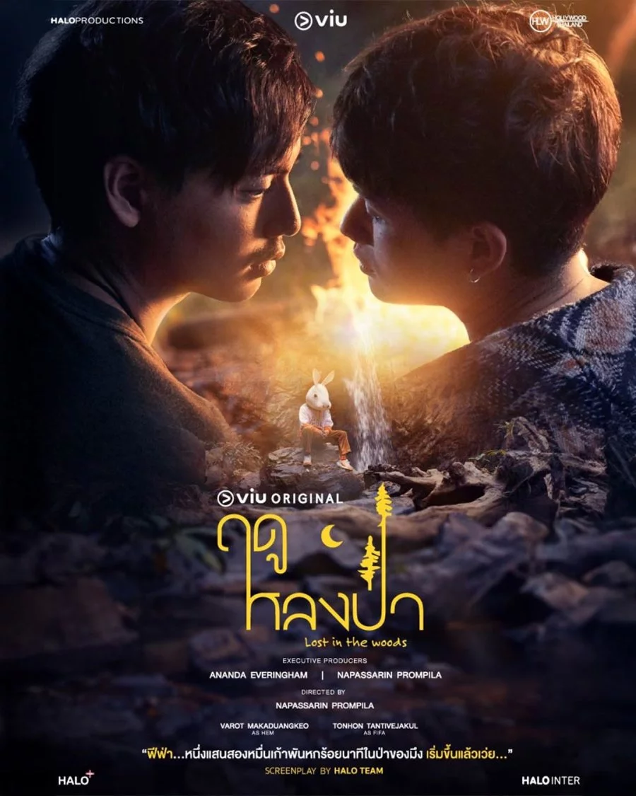 постер Загублений у лісах