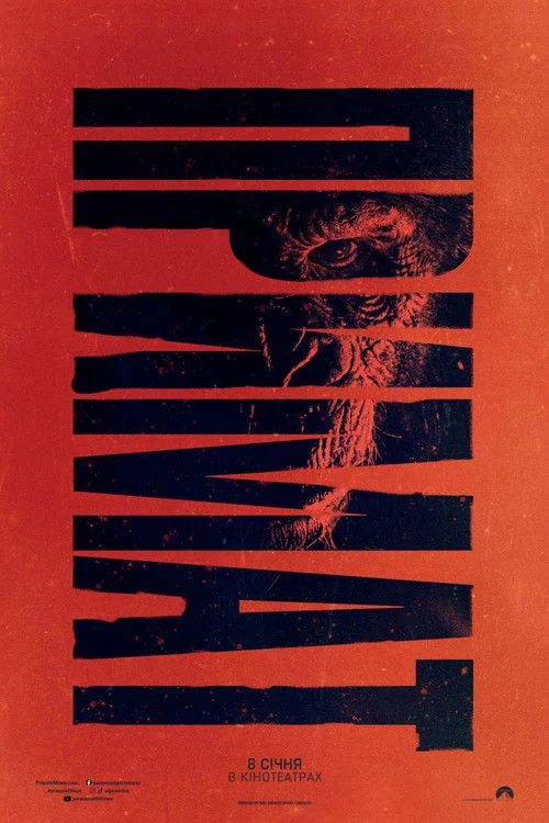 постер Примат