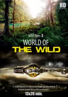 постер Світ дикої природи