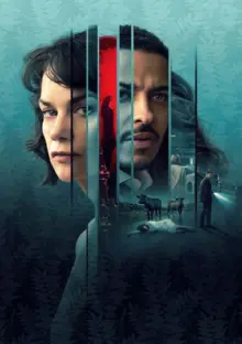 постер Жінка в стіні