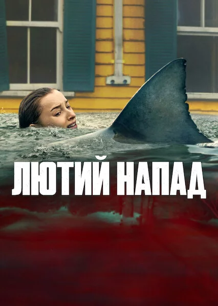 постер Лютий напад