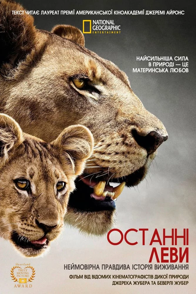 постер Останні леви